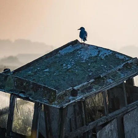 Havre De Paix Quartier Du Parc Meublé De Tourisme Classée 4 étoiles Hébergement de vacances *