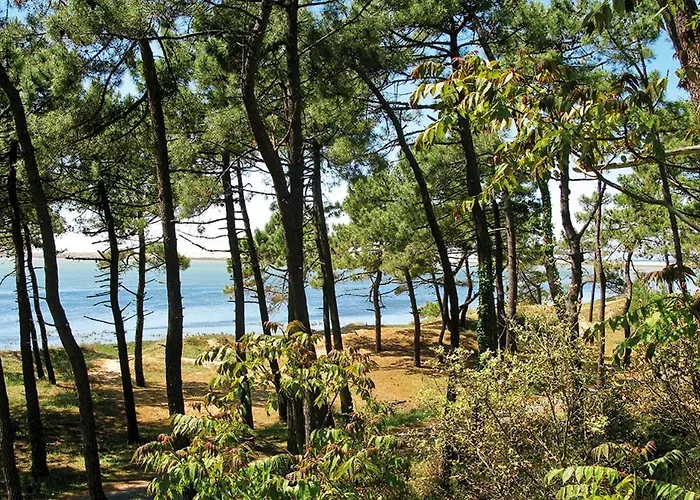 Havre De Paix Quartier Du Parc Meuble De Tourisme Classee 4 Etoiles 로양