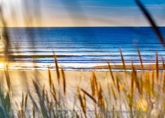 Havre De Paix Quartier Du Parc Meuble De Tourisme Classee 4 Etoiles *