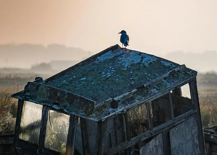 Havre De Paix Quartier Du Parc Meuble De Tourisme Classee 4 Etoiles 펜션 *
